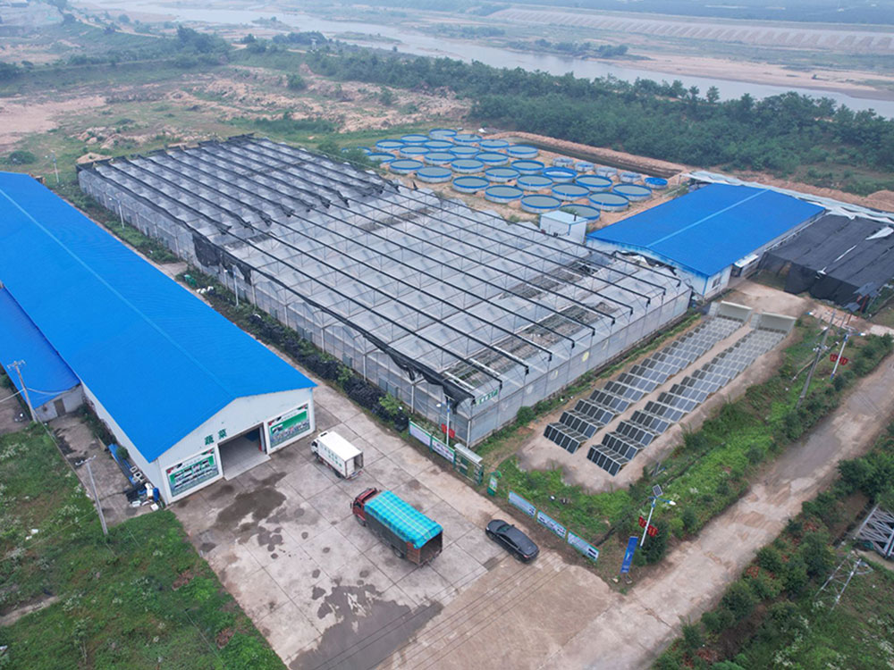 Solar Power Containers for Самостоятельный источник питания